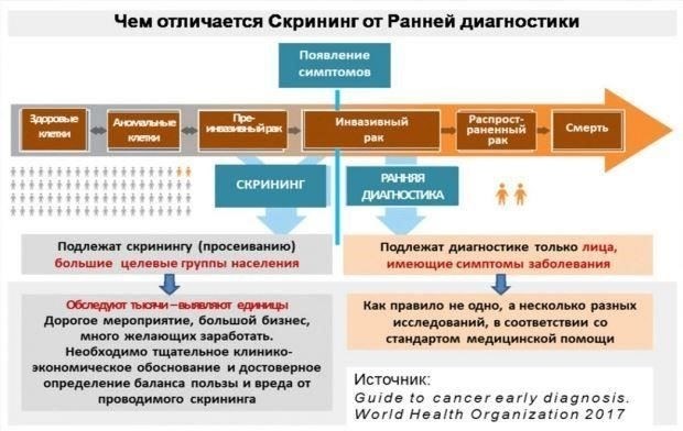 Медицинские осмотры: В раздел, посвященный медицинским осмотрам, следует включить любые соответствующие медицинские документы. Сюда могут входить записи об уровне физической подготовки, предыдущих травмах или других медицинских проблемах, влияющих на службу.