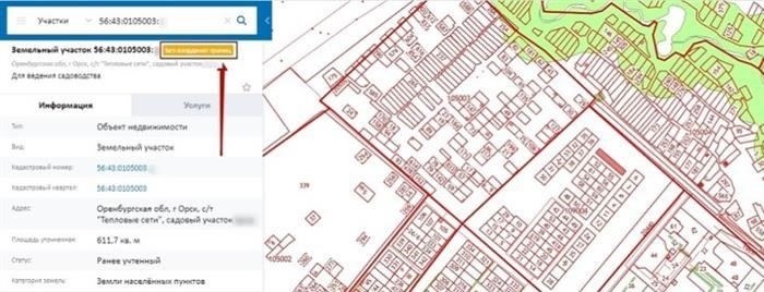 Как проверить статус межевания и заказать ЕГРН онлайн?