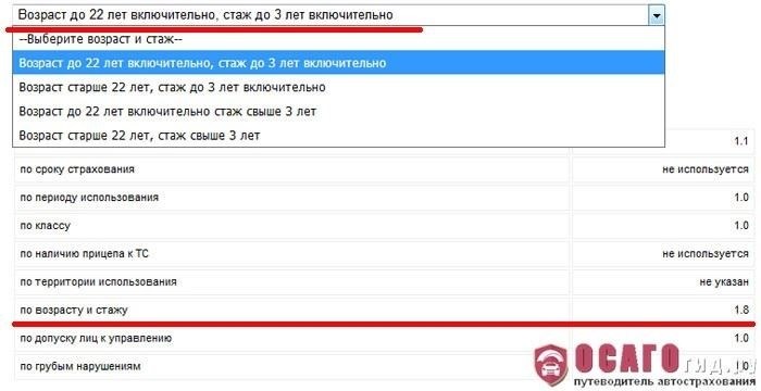 Проверка водительского стажа для ОСАГО