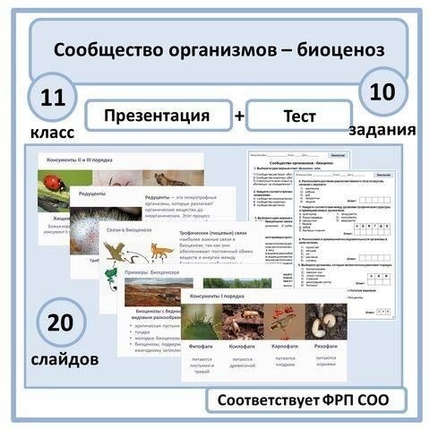 Хотя не все новобранцы категории B4 будут направлены в боевые подразделения, они могут быть направлены на вспомогательные должности, включая караульную службу и другие менее физически тяжелые задачи. Команда по набору оценит вашу способность выполнять такие задачи, как караульная служба и другие важные вспомогательные функции. Порядок прохождения службы будет зависеть от готовности призывника выполнять эти функции с достаточной компетентностью.