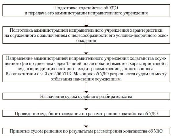 Критерии освобождения и процесс подачи заявления