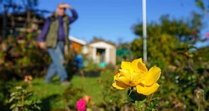 Как рассчитывается вычет при продаже нескольких участков