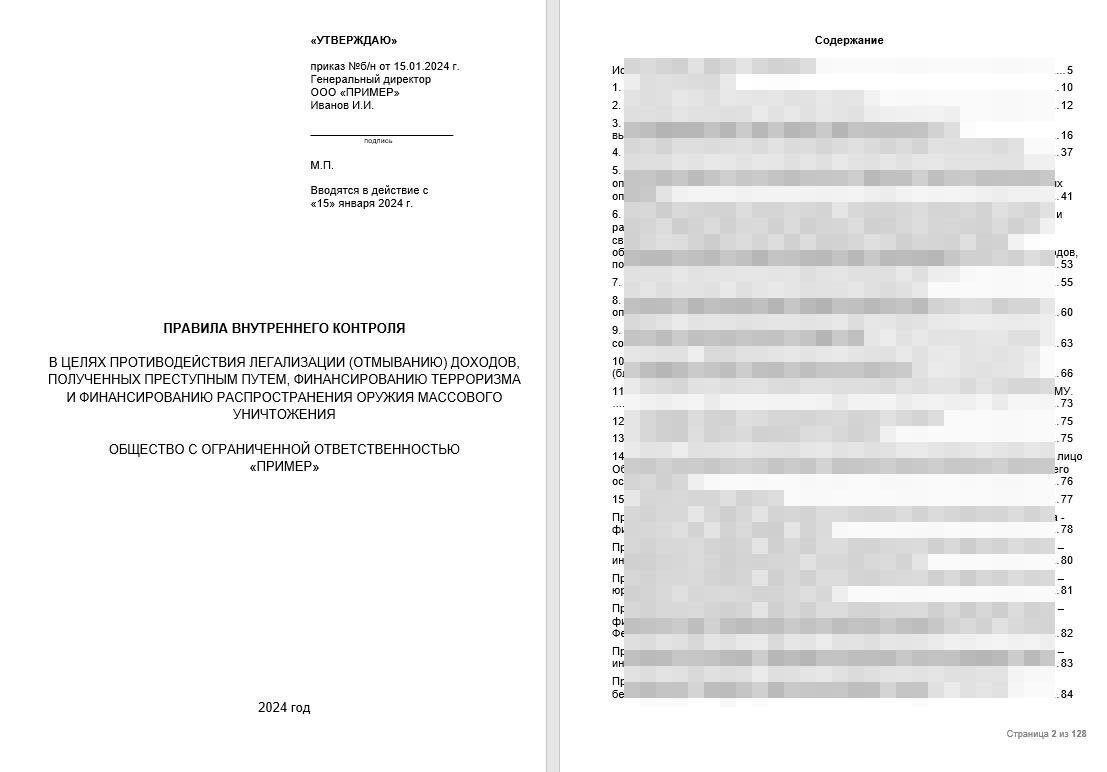 Обзор последних поправок к Федеральному закону «О финансовом контроле» в редакции 2024 года