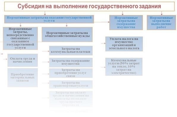 Основные специализации и услуги, предлагаемые учреждением