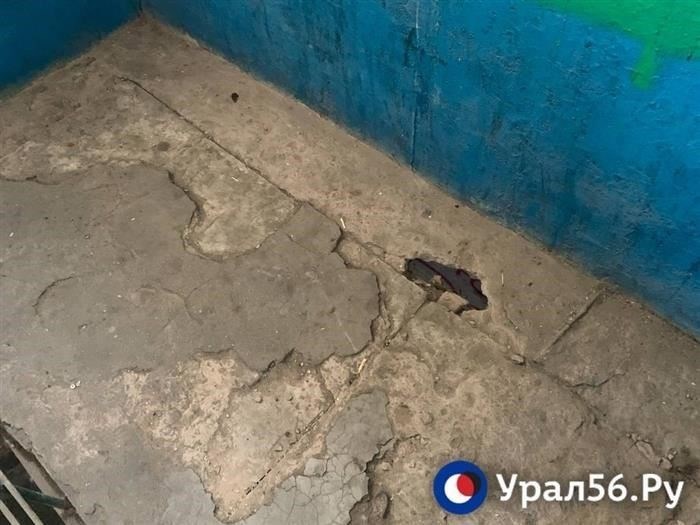 Кто имеет право на переселение из аварийного жилья?