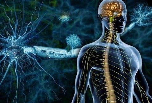 Понимание патофизиологии демиелинизирующих заболеванийНаличие демиелинизирующих поражений в центральной нервной системе является определяющей характеристикой некоторых воспалительных заболеваний. Эти заболевания характеризуются повреждением миелиновой оболочки, что нарушает нормальную передачу нервных импульсов, приводя к различным неврологическим расстройствам. Одним из распространенных примеров является рассеянный склероз, при котором иммунная система поражает и разрушает миелин, вызывая воспаление и повреждение аксонов.