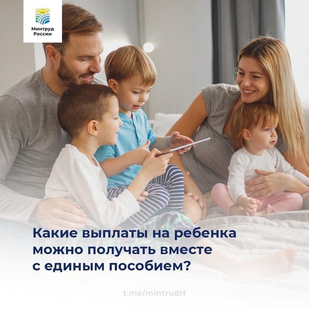 Семья должна соответствовать критериям дохода, установленным местными властями. Семьи с более низким уровнем дохода имеют больше шансов на одобрение.