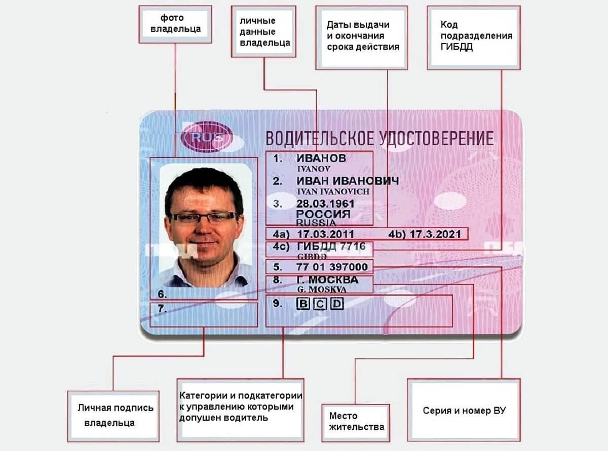 Сроки получения права