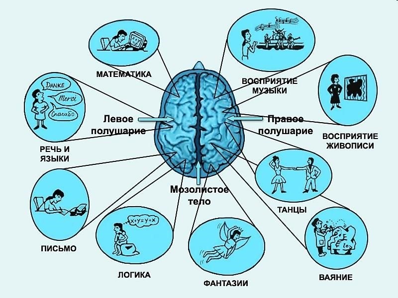 Важность связи и координации
