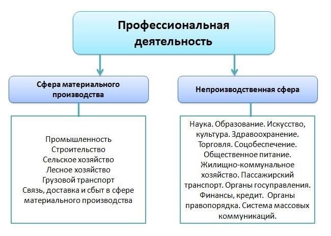 Виды профессиональной деятельности в юридическом секторе