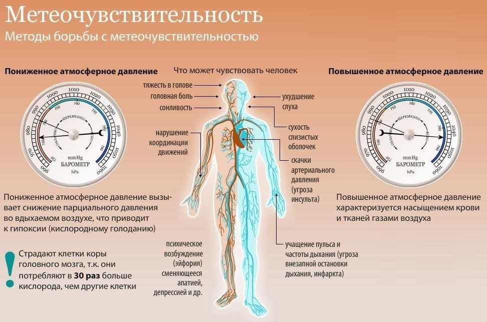 Влияние газовой среды высокого давления на здоровье органов дыхания и сердечно-сосудистой системы