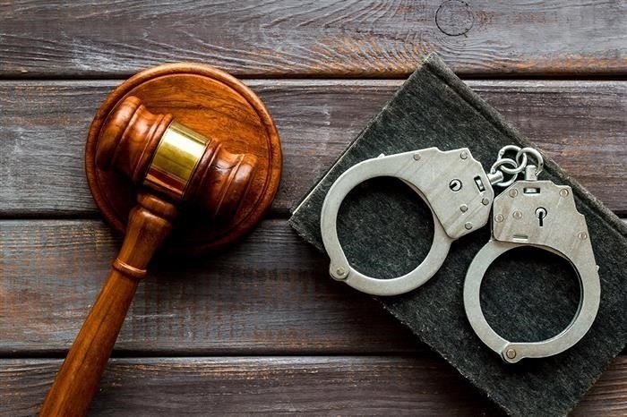 Как правильно сообщить о жестоком обращении с животными